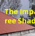 The Impact of Tree Shade on Shingle Drying and Moss Growth